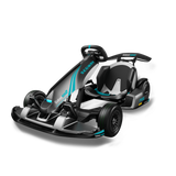 Segway GoKart Pro 2